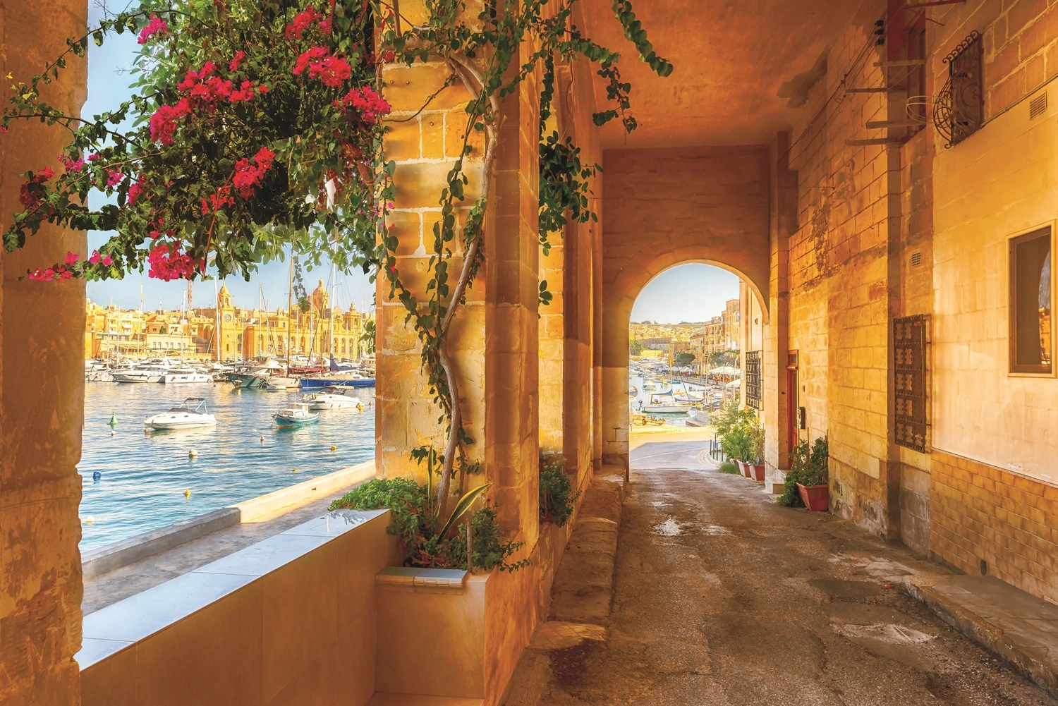 Fall Into Extraordinary Savings