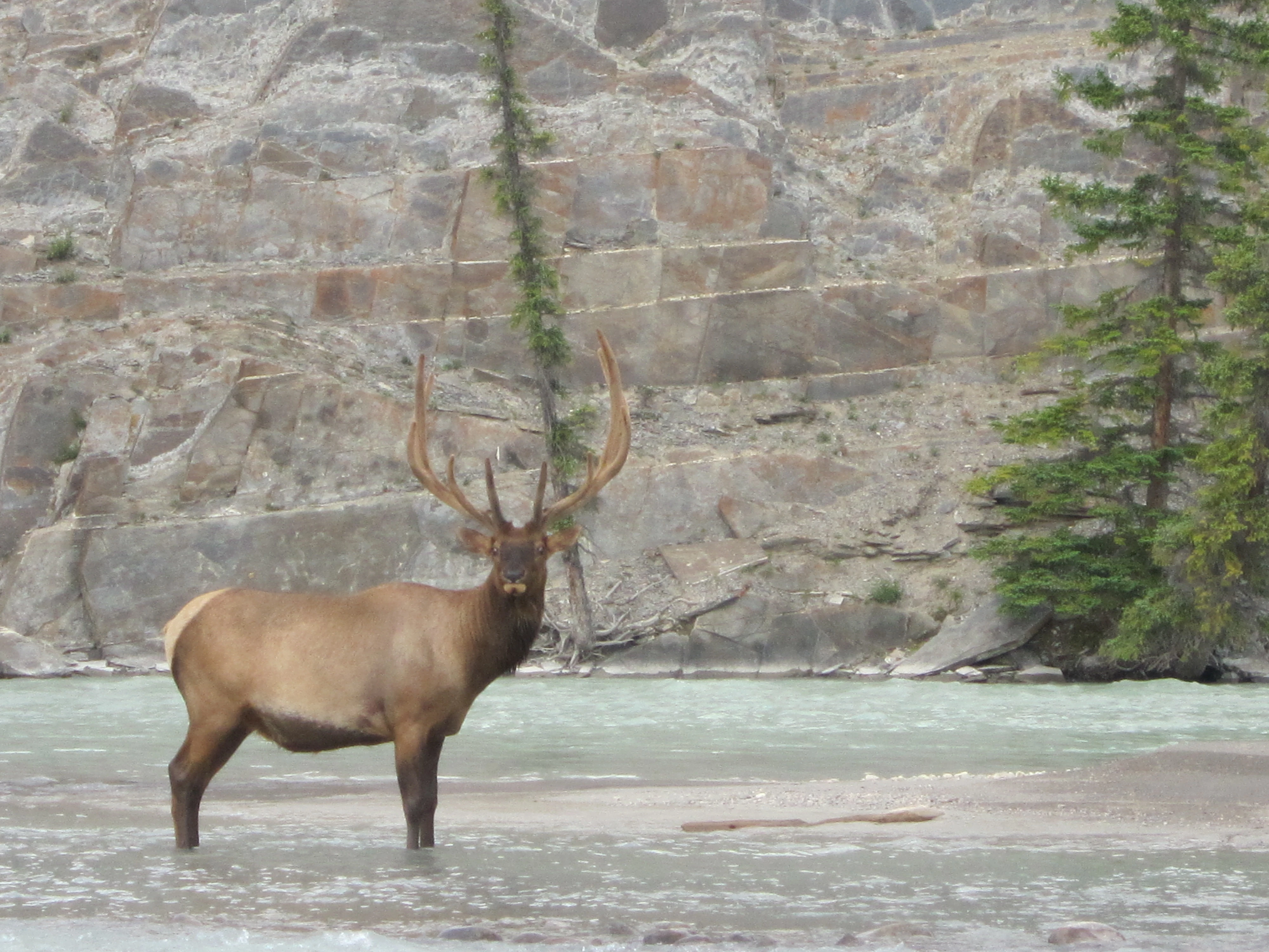 Canadian Rockies & Glacier National Park