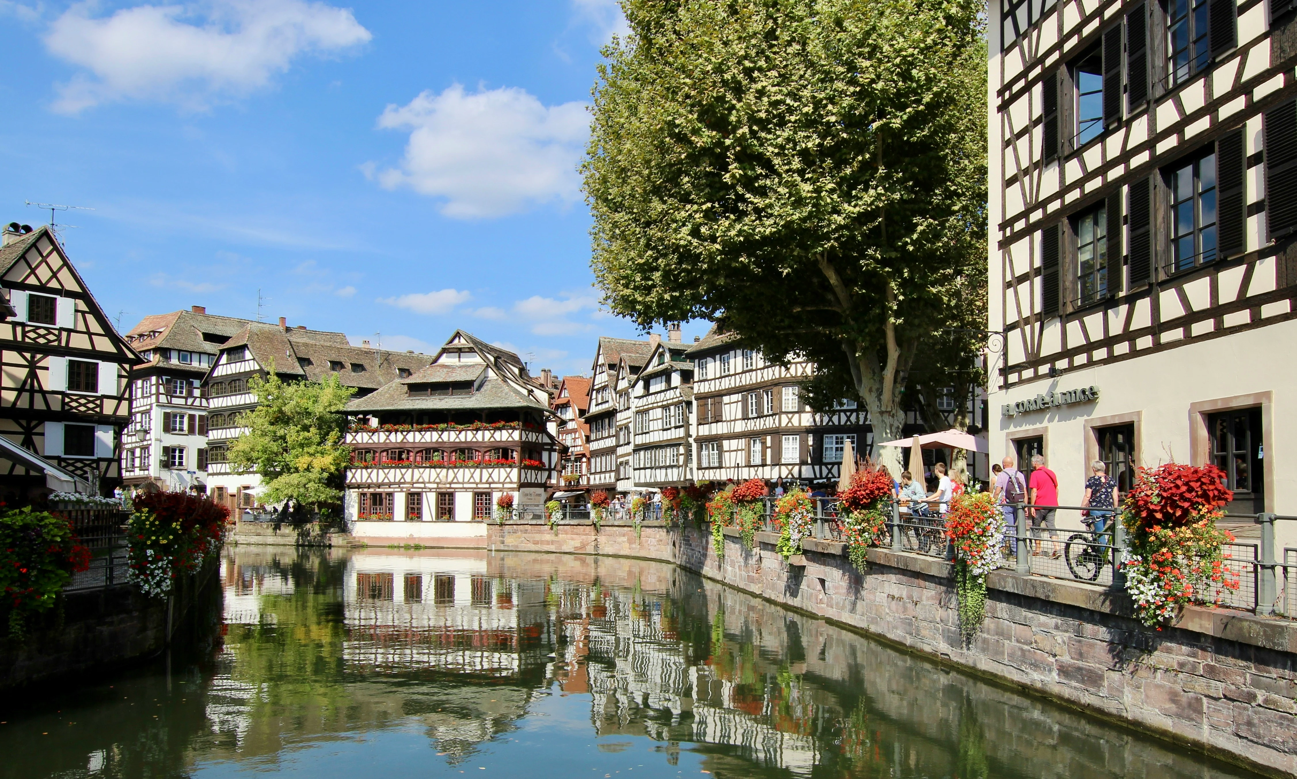 Magical Rhine and Moselle Rivers