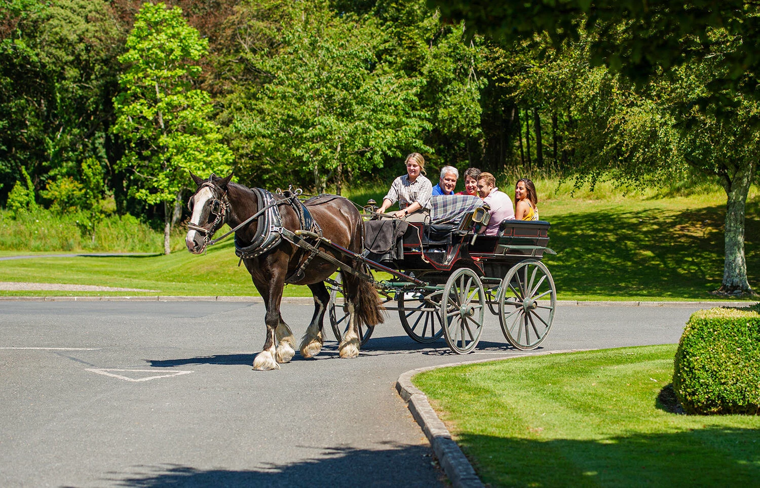 2026 Best of Ireland South (Tour B) - 7 Days/6 Nights
